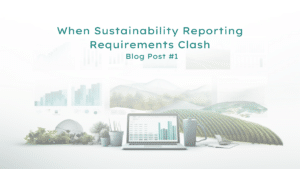 Sustainability Reporting Requirements